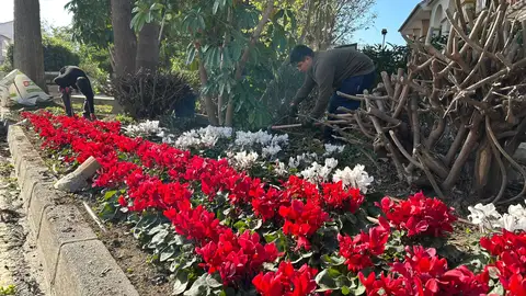 Pizarra refuerza el cuidado y embellecimiento de sus espacios públicos municipios