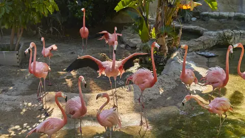 Mundomar celebra su trigésimo aniversario Mundomar celebra su trigésimo aniversario