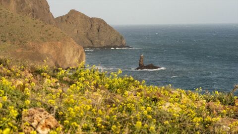 Cabo de Gata (Almer&iacute;a)