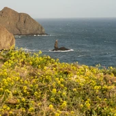 Cabo de Gata (Almería) Cabo de Gata (Almería)