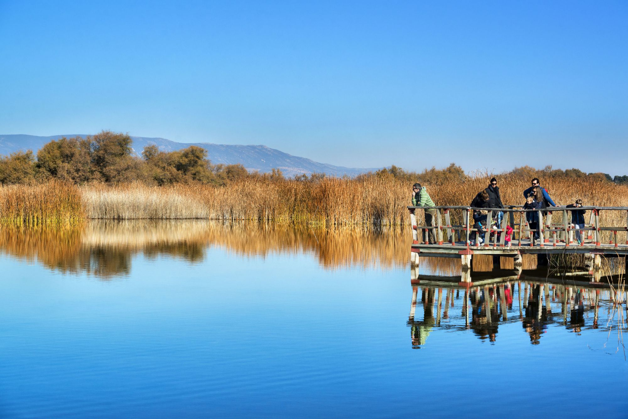 Explosión de agua y avifauna en las Tablas de Daimiel: "El parque atraviesa un momento dulce, el mejor de la última década" Explosión de agua y avifauna en las Tablas de Daimiel: "El parque atraviesa un momento dulce, el mejor de la última década"