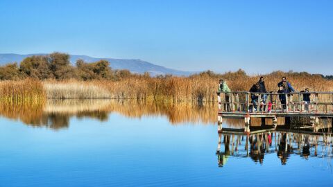 Parque Nacional de las Tablas de Daimiel