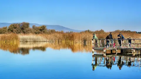 Parque Nacional de las Tablas de Daimiel Parque Nacional de las Tablas de Daimiel