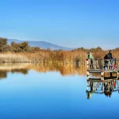 Parque Nacional de las Tablas de Daimiel Parque Nacional de las Tablas de Daimiel