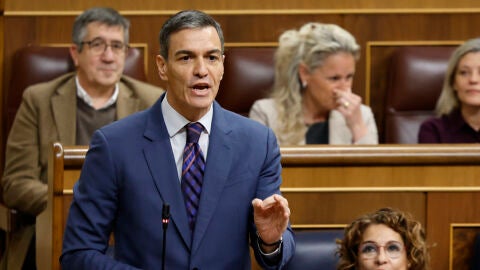 El presidente de Gobierno, Pedro S&aacute;nchez, durante su intervenci&oacute;n en el Congreso. EFE/ Mariscal