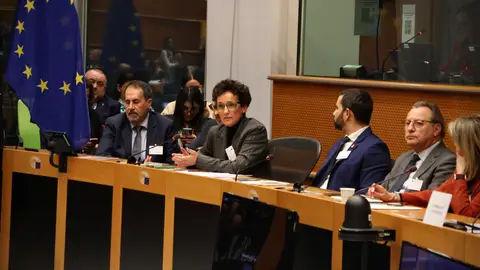La alcaldesas de Onda, Carmina Ballester, en el Parlamento Europeo. La alcaldesas de Onda, Carmina Ballester, en el Parlamento Europeo.