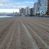 Benidorm refuerza los dispositivos de seguridad, limpieza y socorrismo en las playas 