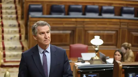 El líder del PP, Alberto Núñez Feijóo, durante la sesión plenaria del Congreso de los Diputados celebrada este jueves en Madrid. El líder del PP, Alberto Núñez Feijóo, durante la sesión plenaria del Congreso de los Diputados celebrada este jueves en Madrid.