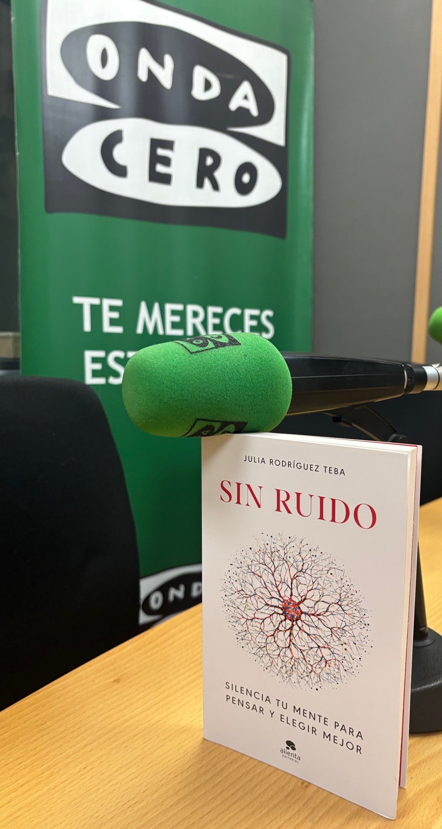 Entrevistamos a la autora de "Sin Ruido", Julia Rodriguez Teba Entrevistamos a la autora de "Sin Ruido", Julia Rodriguez Teba