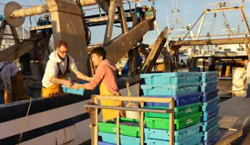 La Generalitat Valenciana anuncia una inversión de siete millones de euros para apoyar al sector pesquero en sus paradas biológicas La Generalitat Valenciana anuncia una inversión de siete millones de euros para apoyar al sector pesquero en sus paradas biológicas