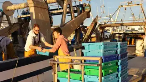 La Generalitat Valenciana anuncia una inversión de siete millones de euros para apoyar al sector pesquero en sus paradas biológicas La Generalitat Valenciana anuncia una inversión de siete millones de euros para apoyar al sector pesquero en sus paradas biológicas