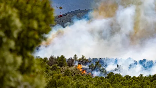 Incendio en Murcia. Domingo 29 de marzo de 2026. Incendio en Murcia. Domingo 29 de marzo de 2026.