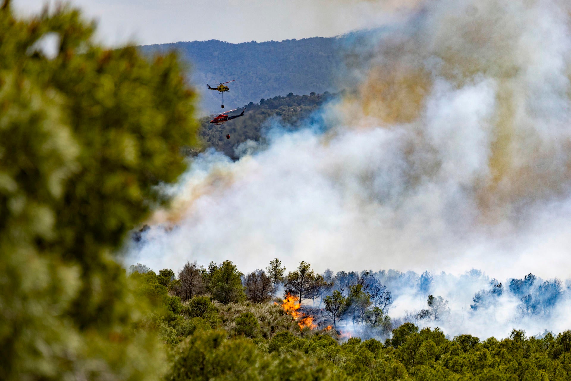 Un incendio forestal en Murcia arrasa unas 400 hectáreas y obliga a activar a la UME Un incendio forestal en Murcia arrasa unas 400 hectáreas y obliga a activar a la UME