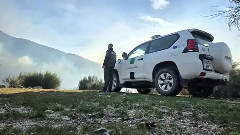 El incendio en Losar de la Vera continúa activo y ha afectado ya a 400 hectáreas, principalmente de matorral El incendio en Losar de la Vera continúa activo y ha afectado ya a 400 hectáreas, principalmente de matorral