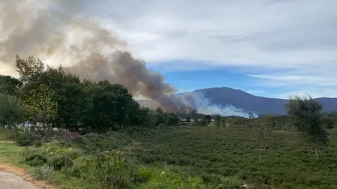 El Plan Infoex pide extremar las precauciones en las quemas agrarias tras los 14 incendios registrados este fin de semana El Plan Infoex pide extremar las precauciones en las quemas agrarias tras los 14 incendios registrados este fin de semana