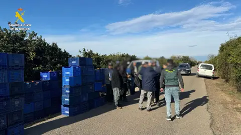 Intervención de la Guardia Civil en un campo de la comarca Intervención de la Guardia Civil en un campo de la comarca