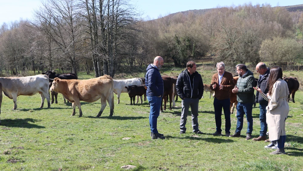 A Xunta aposta por impulsar a modernización do agro e o cambio xeneracional A Xunta aposta por impulsar a modernización do agro e o cambio xeneracional