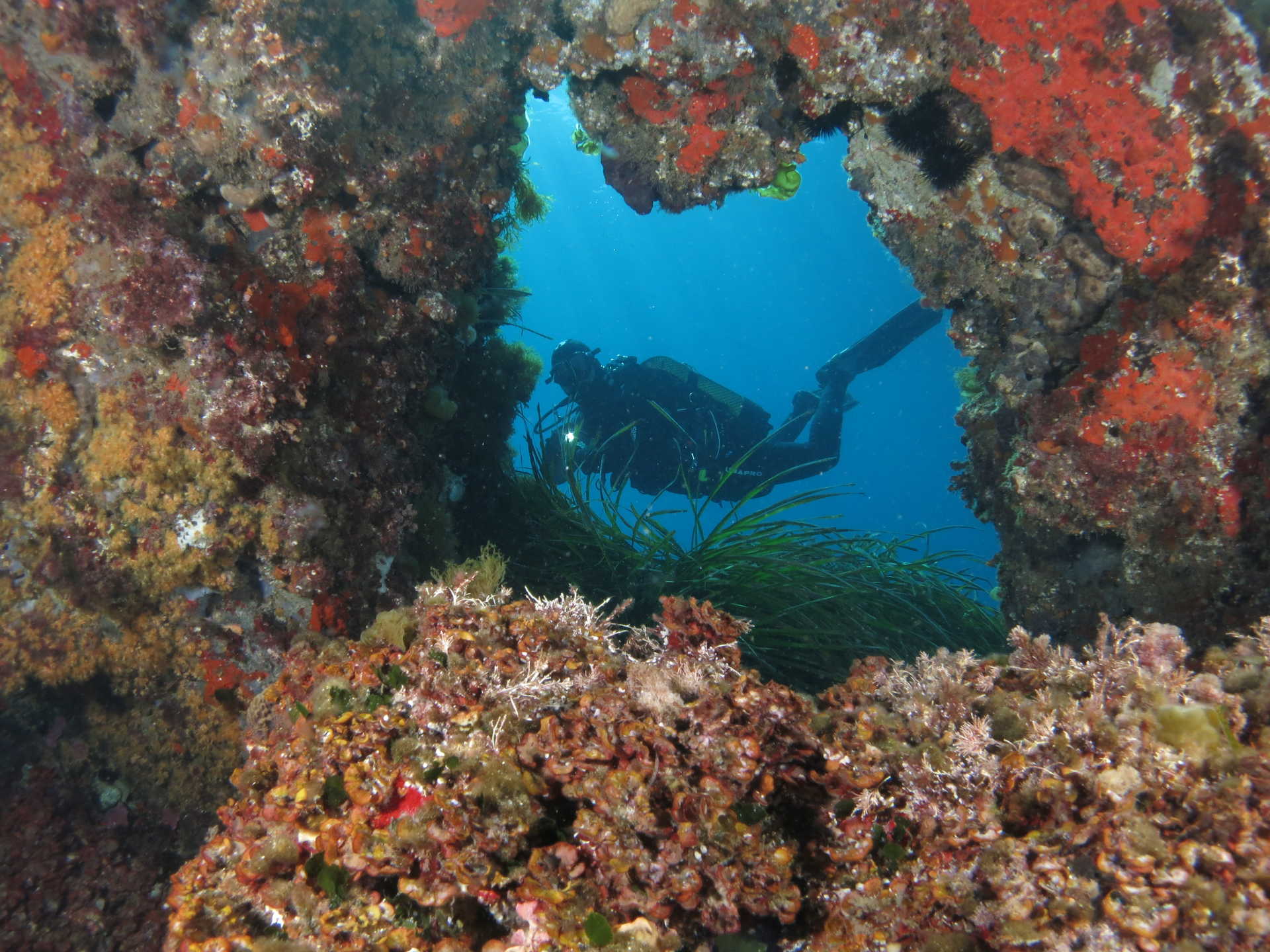 La reserva marina de la isla de Tabarca cumple 40 año de gestión pesquera sostenible La reserva marina de la isla de Tabarca cumple 40 año de gestión pesquera sostenible