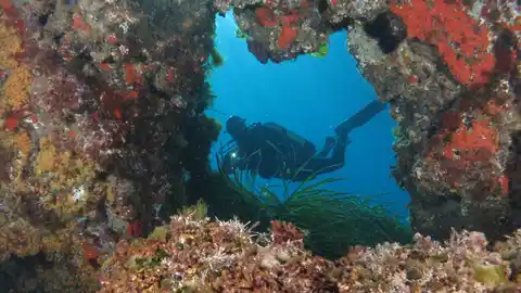 Reserva marina de Tabarca Reserva marina de Tabarca
