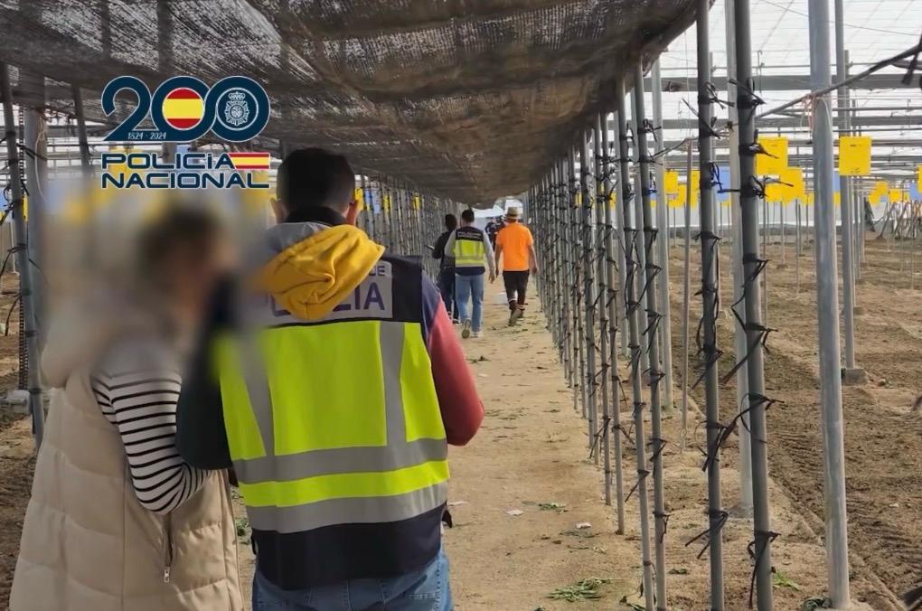 La Policía Nacional detiene a dos empresarios agrícolas en El Ejido por emplear a inmigrantes irregulares La Policía Nacional detiene a dos empresarios agrícolas en El Ejido por emplear a inmigrantes irregulares