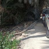 Palmas secas acumuladas junto a coches aparcados en la parcela de la calle Blas Orts Sánchez de Elche.