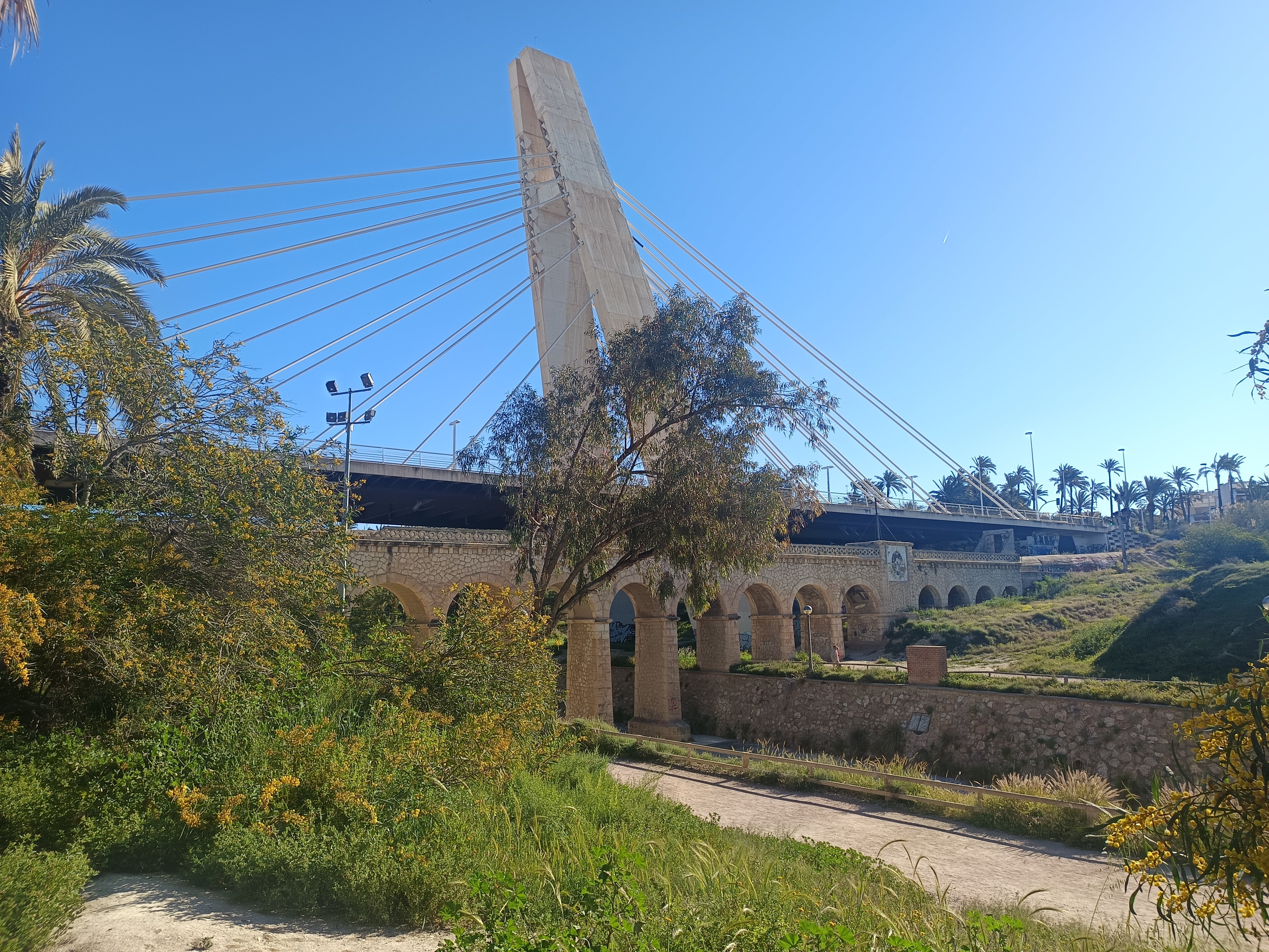 El sol va a predominar en Elche, Crevillent y Santa Pola por la mañana; por la tarde llegarán nubes El sol va a predominar en Elche, Crevillent y Santa Pola por la mañana; por la tarde llegarán nubes