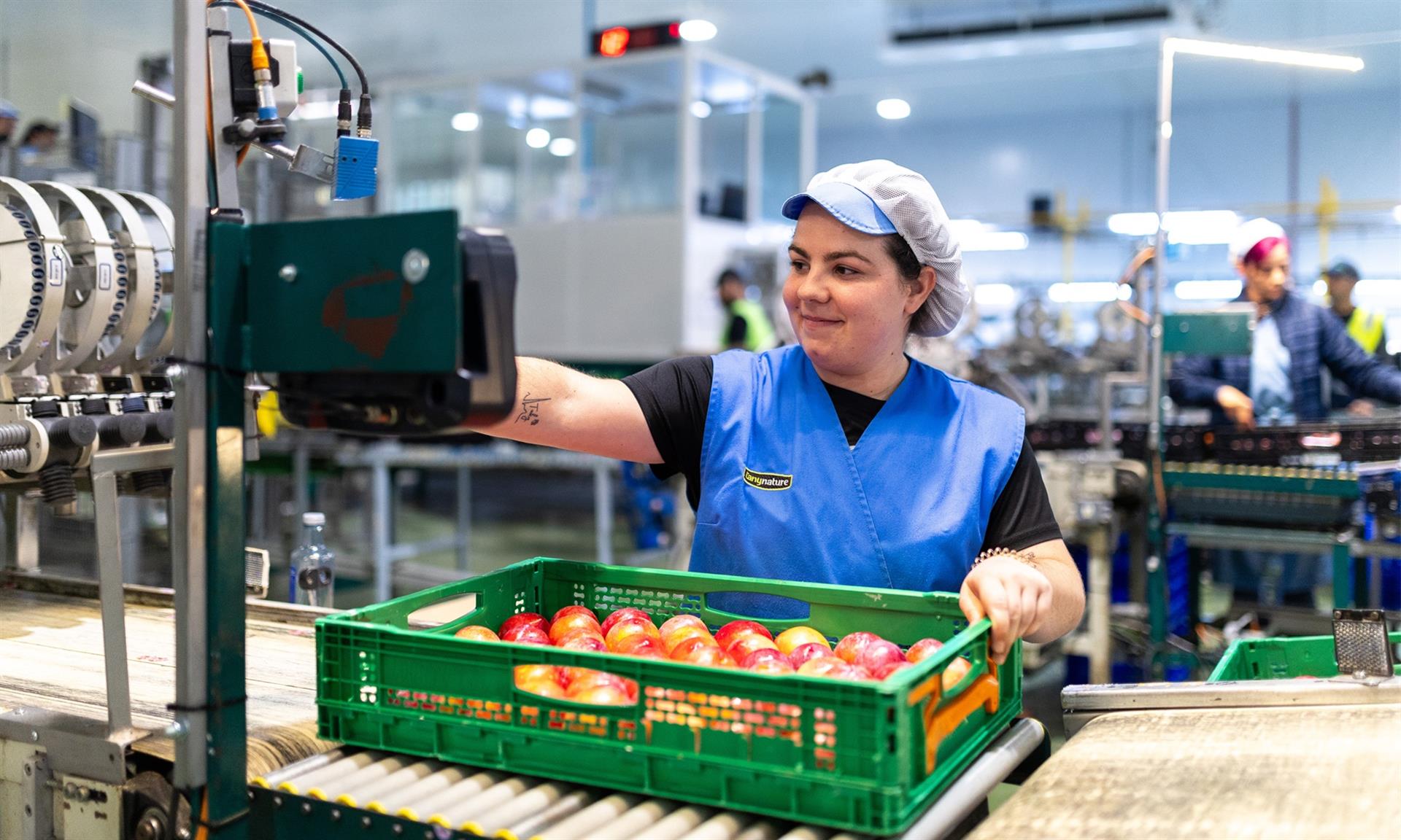 Las compras de Mercadona a proveedores extremeños superaron los 580 millones de euros en 2025 Las compras de Mercadona a proveedores extremeños superaron los 580 millones de euros en 2025