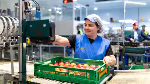 Las compras de Mercadona a proveedores extremeños superaron los 580 millones de euros en 2025 Las compras de Mercadona a proveedores extremeños superaron los 580 millones de euros en 2025