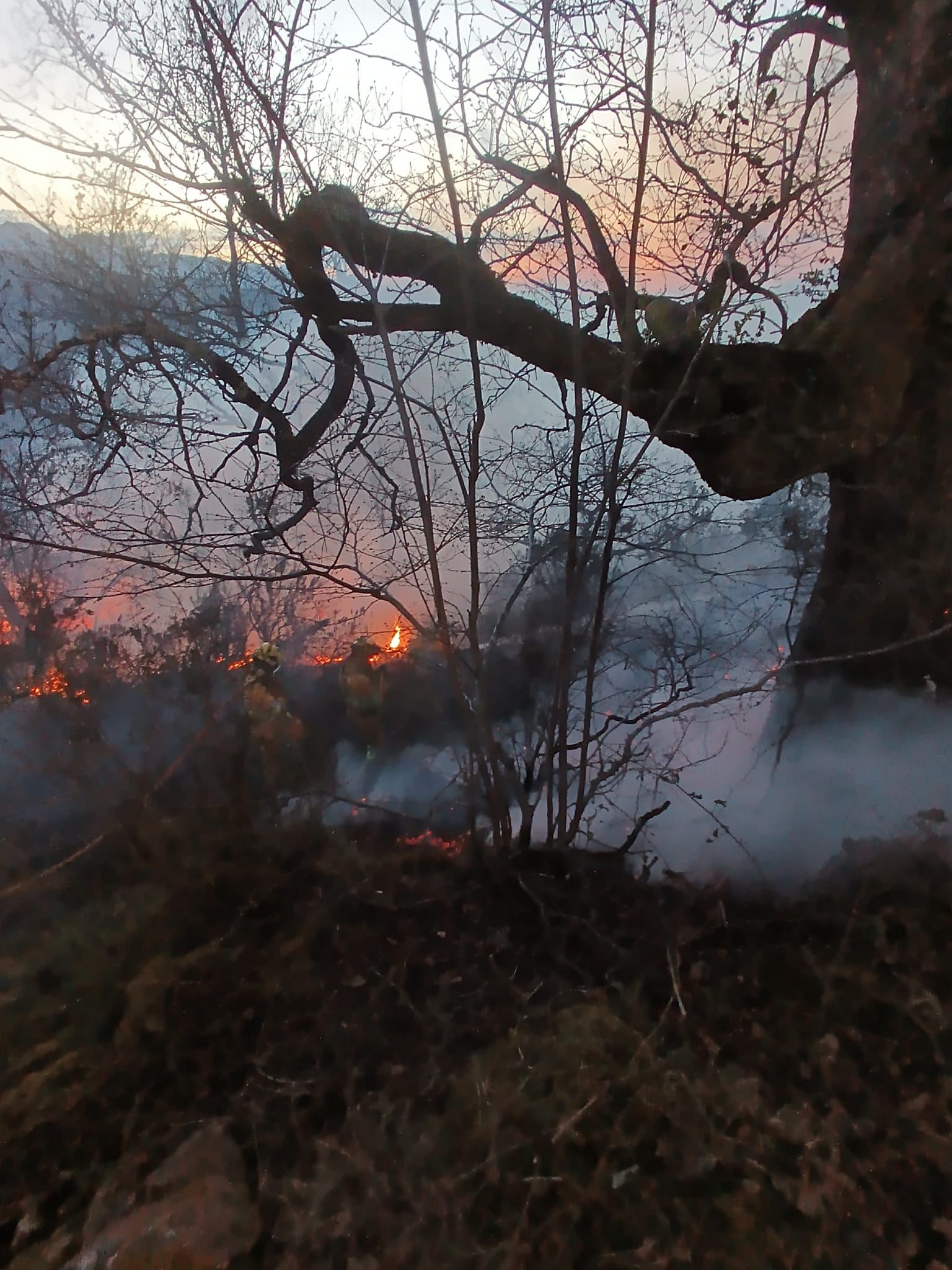 Cantabria registra 46 incendios desde la madrugada Cantabria registra 46 incendios desde la madrugada