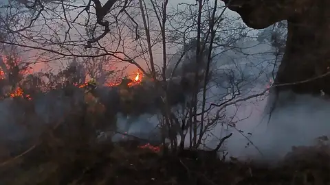 Cantabria registra 46 incendios desde la madrugada Cantabria registra 46 incendios desde la madrugada