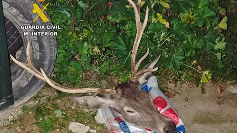 La Guardia Civil detiene a tres personas por caza furtiva en una finca de Zarza-Capilla La Guardia Civil detiene a tres personas por caza furtiva en una finca de Zarza-Capilla