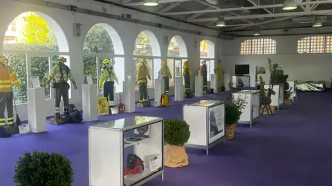 Exposición 2 Exposición 2