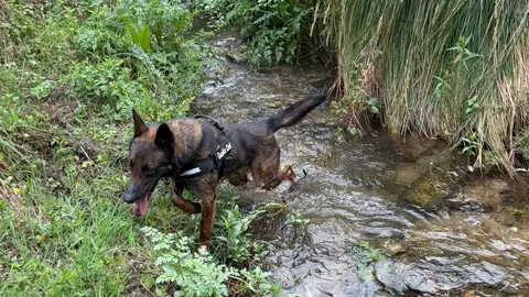 Este miércoles se reactivará la búsqueda del hombre de 74 años desaparecido en Jarandilla de la Vera el pasado Viernes Santo Este miércoles se reactivará la búsqueda del hombre de 74 años desaparecido en Jarandilla de la Vera el pasado Viernes Santo