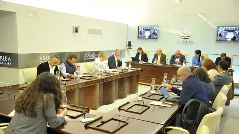 El Pleno convalidará este jueves el decreto del PP y Vox para evitar la parálisis de la Junta El Pleno convalidará este jueves el decreto del PP y Vox para evitar la parálisis de la Junta