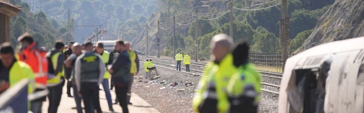 ¿Considera suficiente la colaboración del Gobierno en la investigación del accidente de Adamuz?