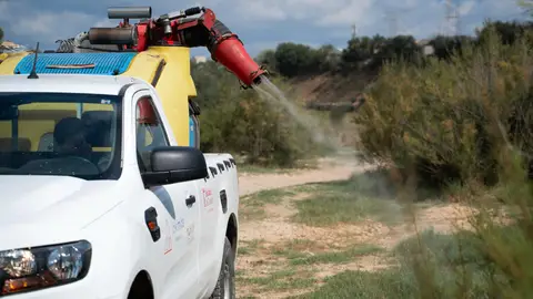El Ayuntamiento de Almassora refuerza la lucha contra los mosquitos con más actuaciones en el término municipal El Ayuntamiento de Almassora refuerza la lucha contra los mosquitos con más actuaciones en el término municipal