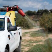 El Ayuntamiento de Almassora refuerza la lucha contra los mosquitos con más actuaciones en el término municipal