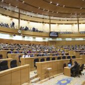 El Senado aprueba la tramitación directa y en lectura única para que Formentera tenga un senador propio