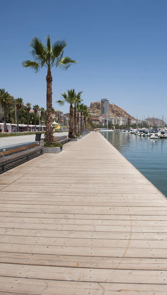 El puerto de Alicante El puerto de Alicante