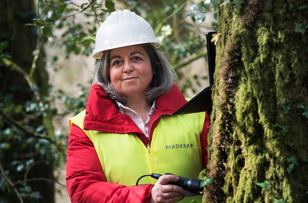 A Deputación de Ourense adícalle abril ás mulleres que transforman o sector forestal A Deputación de Ourense adícalle abril ás mulleres que transforman o sector forestal