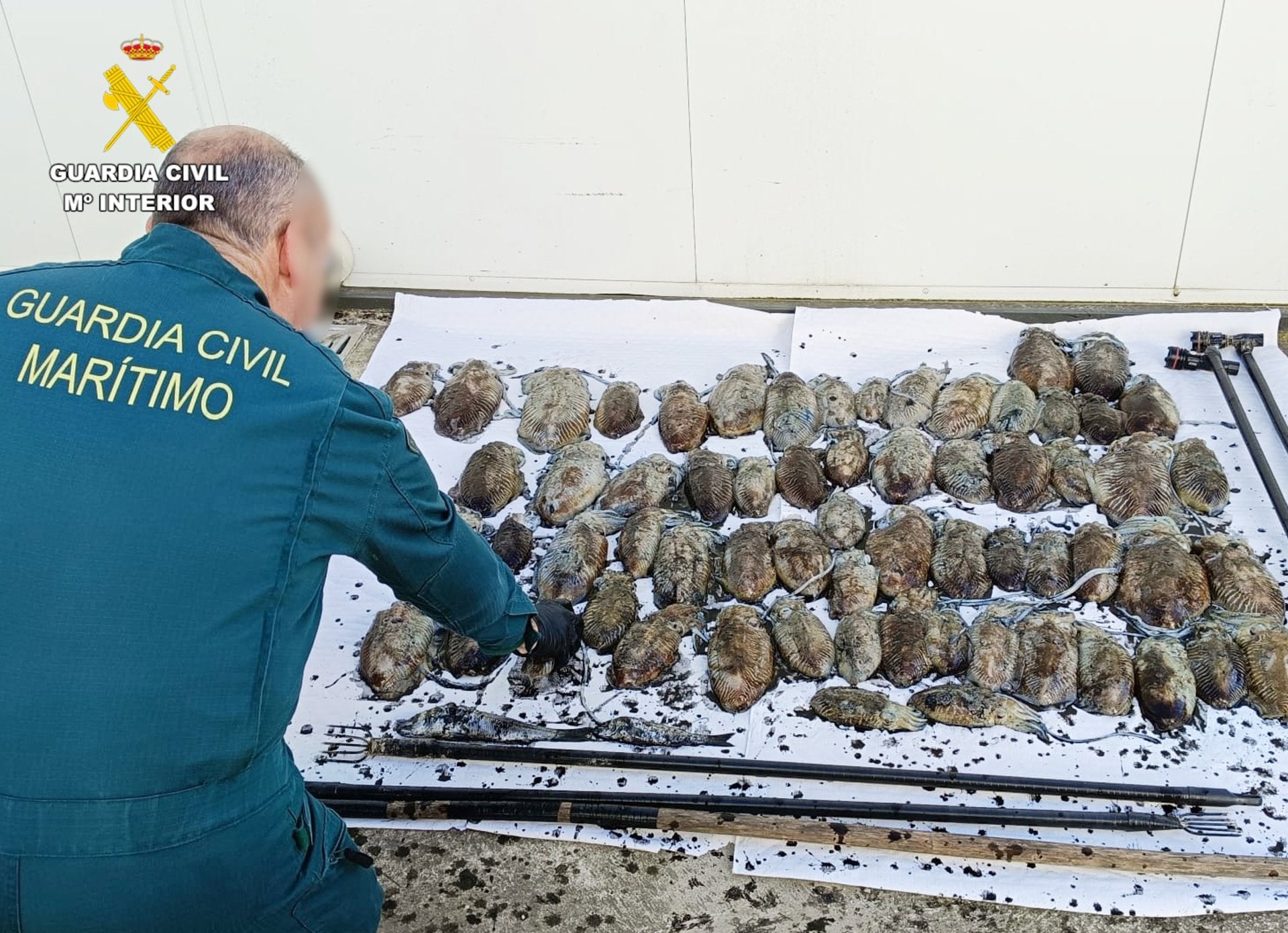 Denunciados siete pescadores furtivos en Cantabria en dos fines de semana con 94 kilos de diferentes especies Denunciados siete pescadores furtivos en Cantabria en dos fines de semana con 94 kilos de diferentes especies