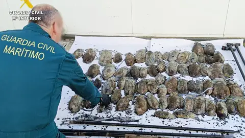 Denunciados siete pescadores furtivos en Cantabria en dos fines de semana con 94 kilos de diferentes especies Denunciados siete pescadores furtivos en Cantabria en dos fines de semana con 94 kilos de diferentes especies