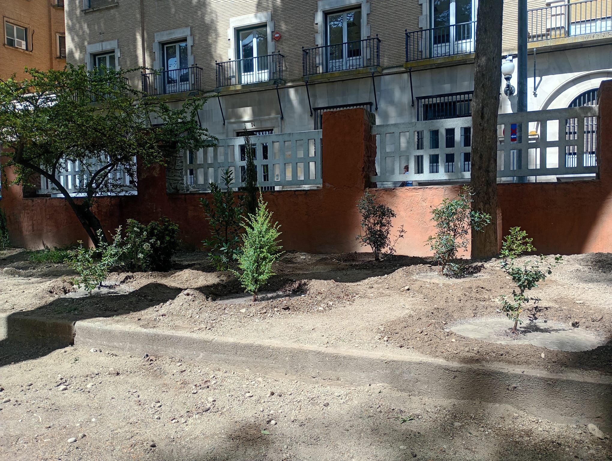 147 arbustos regeneran el pinar del parque Miguel Servet de Huesca 147 arbustos regeneran el pinar del parque Miguel Servet de Huesca