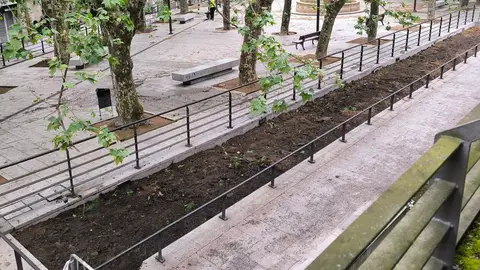 As socialistas denuncian a actuación levada a cabo nas fontes da Praza das Mercedes As socialistas denuncian a actuación levada a cabo nas fontes da Praza das Mercedes