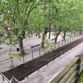 As socialistas denuncian a actuación levada a cabo nas fontes da Praza das Mercedes 