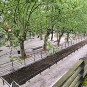 As socialistas denuncian a actuación levada a cabo nas fontes da Praza das Mercedes As socialistas denuncian a actuación levada a cabo nas fontes da Praza das Mercedes