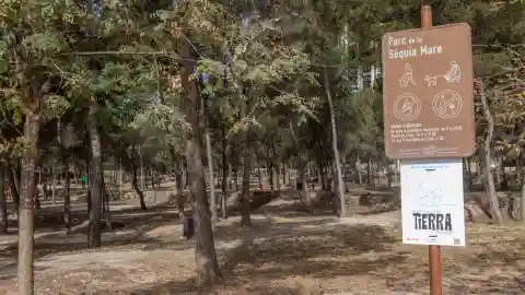 El albergue y zona de acampada de la Séquia Mare de Benidorm entran en su última fase constructiva El albergue y zona de acampada de la Séquia Mare de Benidorm entran en su última fase constructiva