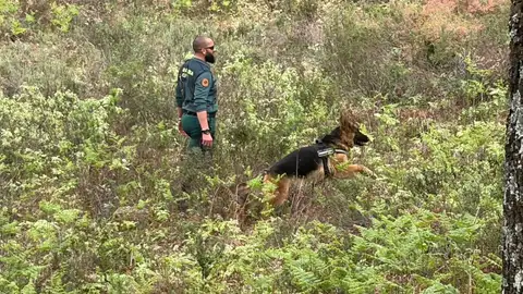 Concluye sin resultados la Batida de búsqueda del hombre de 74 años desaparecido en Jarandilla de la Vera el Jueves Santo Concluye sin resultados la Batida de búsqueda del hombre de 74 años desaparecido en Jarandilla de la Vera el Jueves Santo