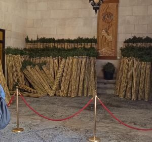 Las ca&ntilde;as ya est&aacute;n dispuestas