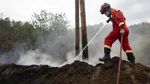 La campanya d’incendis forestals d’estiu, pendent de les pluges de la primavera La campanya d’incendis forestals d’estiu, pendent de les pluges de la primavera